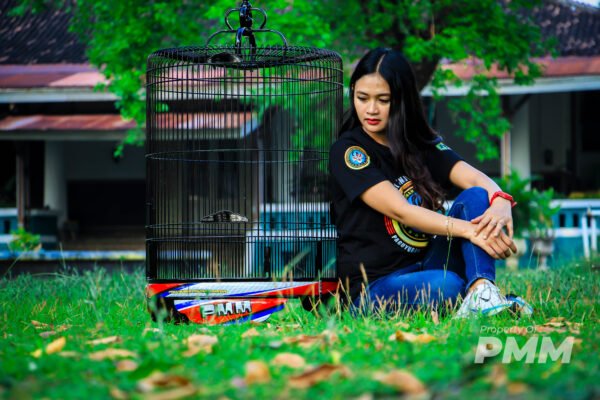 SANGKAR ORIGINAL PMM - Gambar 3